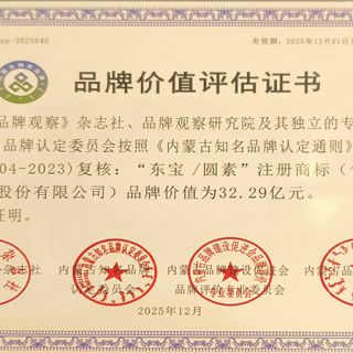 尊龙官方/圆素品牌价值评估证书